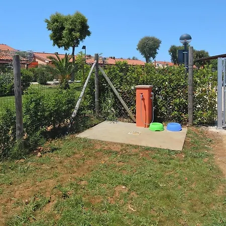 Apartment Holiday Rosa Dei Venti, Vada La Cinquantina