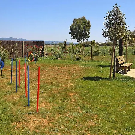 Holiday Rosa Dei Venti, Vada Apartment